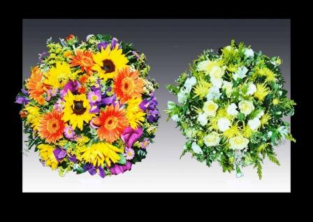 Posies